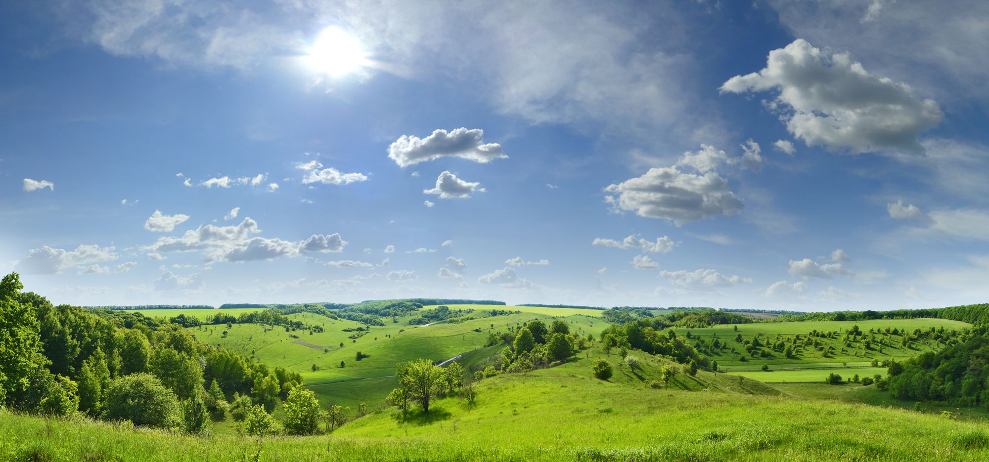 Белгородская область вошла в пятёрку лучших в экологическом рейтинге российских регионов 